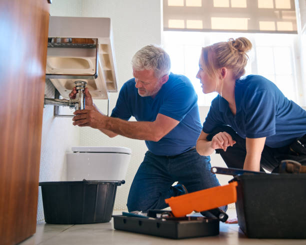 Best Drain Cleaning Services  in Potterville, MI